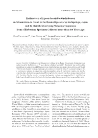 Ogasawara) Archipelago, Japan, and Its Identification Using Molecular Sequences from a Herbarium Specimen Collected More Than 100 Years Ago