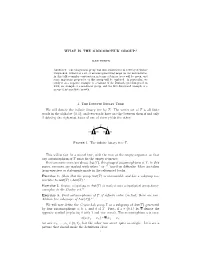What Is the Grigorchuk Group?