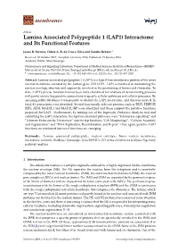 Lamina Associated Polypeptide 1 (LAP1) Interactome and Its Functional Features