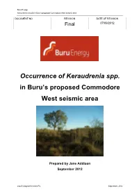 Occurrence of Keraudrenia Spp. in Buru's Proposed Commodore West