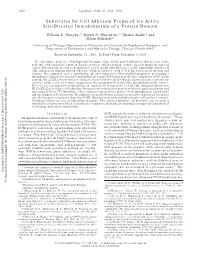 Substrates for Cell Adhesion Prepared Via Active Site-Directed Immobilization of a Protein Domain