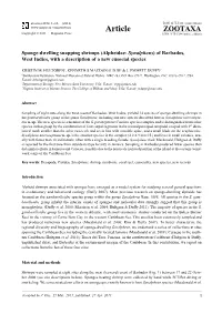 Sponge-Dwelling Snapping Shrimps (Alpheidae: Synalpheus) of Barbados, West Indies, with a Description of a New Eusocial Species