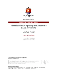 Paràsits Del Fílum Apicomplexa Presents a Larus Michahellis