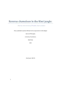 Reverse Chameleon in the Kiwi Jungle