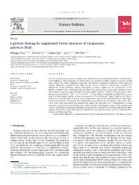 L-Proline Feeding for Augmented Freeze Tolerance of Camponotus