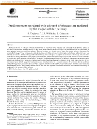 Pupil Responses Associated with Coloured Afterimages Are Mediated by the Magno-Cellular Pathway