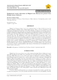 3. Eriyusni Upload