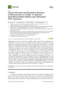 Genetic Diversity and Population Structure of Rhododendron Rex Subsp