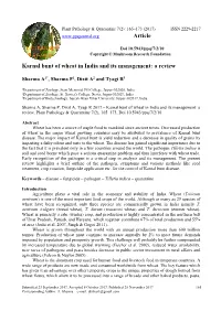 Karnal Bunt of Wheat in India and Its Management: a Review Article