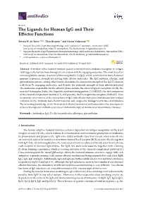The Ligands for Human Igg and Their Effector Functions
