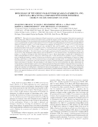 Bioecology of the Ghost Crab Ocypode Quadrata (Fabricius, 1787) (Crustacea: Brachyura) Compared with Other Intertidal Crabs in the Southwestern Atlantic