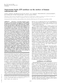 Angiostatin Binds ATP Synthase on the Surface of Human Endothelial Cells