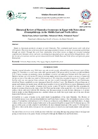 Historical Review of Mantodea Occurrence in Egypt with Notes About Eremiaphila Spp
