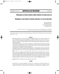 Methanogenesis and Methane Oxidation in Wetlands. Implications in the Global Carbon Cycle