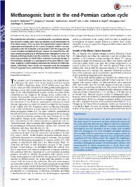 Methanogenic Burst in the End-Permian Carbon Cycle