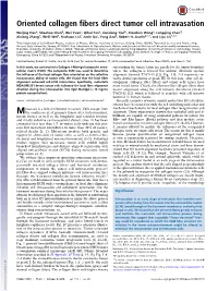 Oriented Collagen Fibers Direct Tumor Cell Intravasation