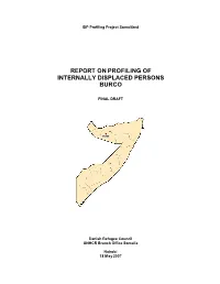 Burco IDP Profiling Report 2007-05-18