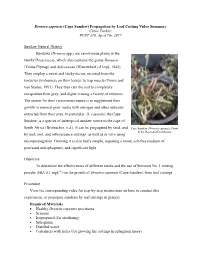 Drosera Capensis (Cape Sundew) Propagation by Leaf Cutting Video Summary Chlöe Fackler PLNT 310, April 7Th, 2017