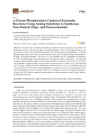 Glucan Phosphorylase-Catalyzed Enzymatic Reactions Using Analog Substrates to Synthesize Non-Natural Oligo- and Polysaccharides