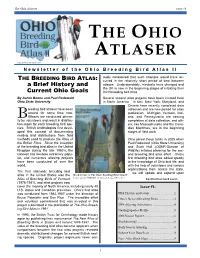 Previous OBBA II Newsletter