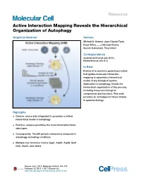 Active Interaction Mapping Reveals the Hierarchical Organization of Autophagy