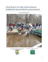 Big Cypress Bayou Paddlefish Reintroduction Assessment 2014
