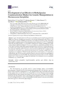 Development of an Effective 6-Methylpurine Counterselection Marker for Genetic Manipulation in Thermococcus Barophilus