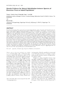 Genetic Evidence for Natural Hybridization Between Species of Dioecious Ficus on Island Populations1