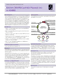 RASA4 CRISPR/Cas9 KO Plasmid (M): Sc-424802