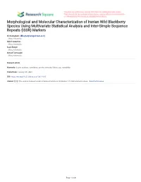 Morphological and Molecular Characterization of Iranian Wild