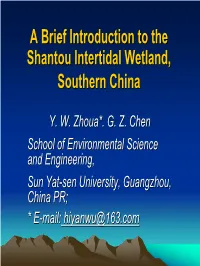 A Brief Introduction to the Shantou Intertidal Wetland, Southern China