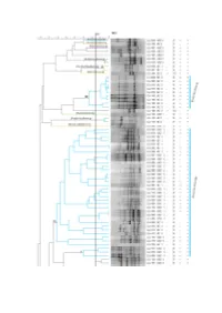 Supplementary File 1 (PDF, 1566 Kib)