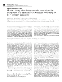 Human Foamy Virus Integrase Fails to Catalyse the Integration of a Circular DNA Molecule Containing an LTR Junction Sequence