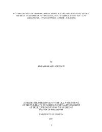 University of Florida Thesis Or Dissertation Formatting