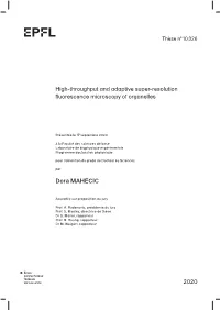 High-Throughput and Adaptive Super-Resolution Fluorescence Microscopy of Organelles