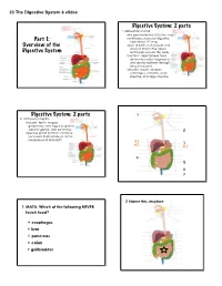 Part 1: Overview of the Digestive System Digestive System: 2 Parts