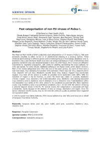 Pest Categorisation of Non‐EU Viruses of Rubus L
