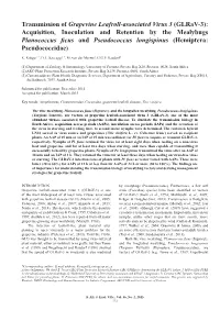 Transmission of Grapevine Leafroll-Associated Virus 3 (Glrav-3): Acquisition, Inoculation and Retention by the Mealybugs Planococcus Ficus and Pseudococcus Longispinus (Hemiptera