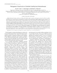 Phylogenetic Classification of Subtribe Castillejinae (Orobanchaceae)