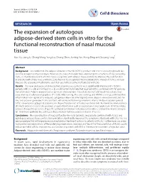 The Expansion of Autologous Adipose-Derived Stem Cells in Vitro
