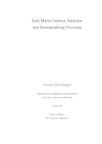 Dark Matter Indirect Detection and Bremsstrahlung Processes
