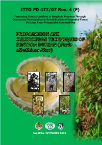 PROPAGATION and CULTIVATION TECHNIQUES of BENTARA DURIAN (Durio Zibethinus Murr)