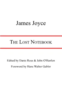 The Lost Notebook