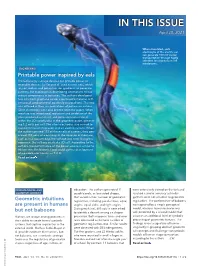 In This Issue