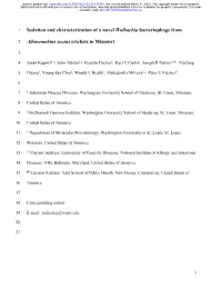 Isolation and Characterization of a Novel Wolbachia Bacteriophage From