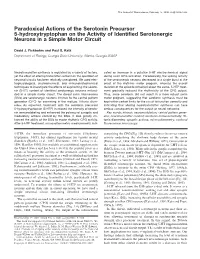 Paradoxical Actions of the Serotonin Precursor 5-Hydroxytryptophan on the Activity of Identiﬁed Serotonergic Neurons in a Simple Motor Circuit