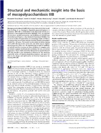 Structural and Mechanistic Insight Into the Basis of Mucopolysaccharidosis IIIB