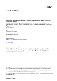 Determining Appropriate Interventions to Mainstream Nutritious Orphan