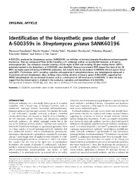 Identification of the Biosynthetic Gene Cluster of A-500359S In