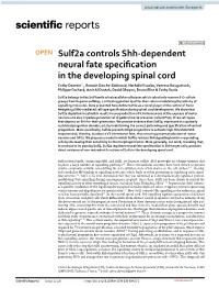 Sulf2a Controls Shh-Dependent Neural Fate Specification in the Developing Spinal Cord